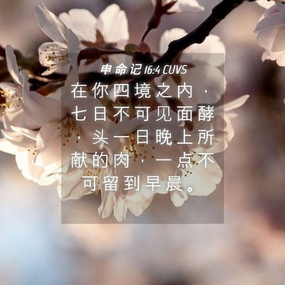 Picture 04 - 申 命 记 16:4 CUVS - 在 你 四 境 之 内 ， 七 日 不 可 见 - Bible Verse Picture