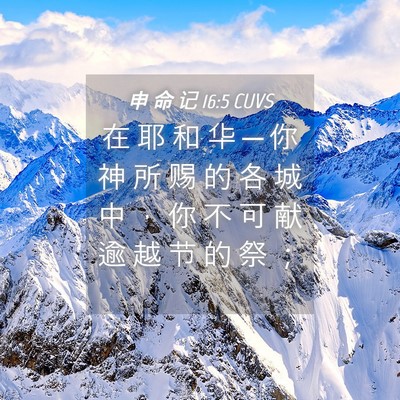 Picture 04 - 申 命 记 16:5 CUVS - 在 耶 和 华 ─ 你 神 所 赐 的 各 城 - Bible Verse Picture