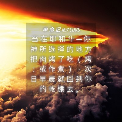Picture 04 - 申 命 记 16:7 CUVS - 当 在 耶 和 华 ─ 你 神 所 选 择 的 - Bible Verse Picture
