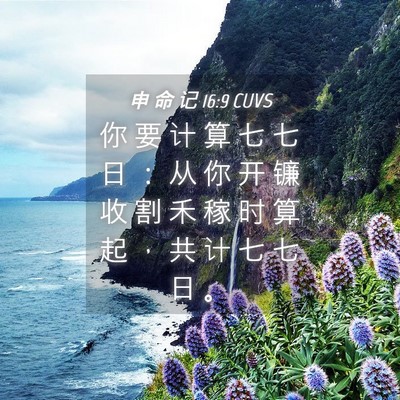 Picture 04 - 申 命 记 16:9 CUVS - 你 要 计 算 七 七 日 ： 从 你 开 镰 - Bible Verse Picture