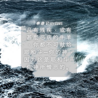 Picture 04 - 申 命 记 17:1 CUVS - 凡 有 残 疾 ， 或 有 甚 麽 恶 病 的 - Bible Verse Picture