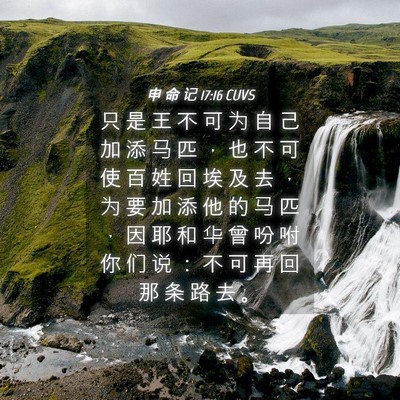 Picture 04 - 申 命 记 17:16 CUVS - 只 是 王 不 可 为 自 己 加 添 马 匹 - Bible Verse Picture