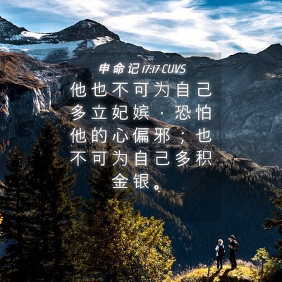 Picture 04 - 申 命 记 17:17 CUVS - 他 也 不 可 为 自 己 多 立 妃 嫔 ， - Bible Verse Picture