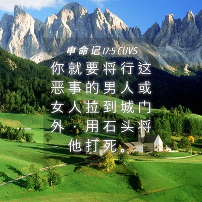 Picture 04 - 申 命 记 17:5 CUVS - 你 就 要 将 行 这 恶 事 的 男 人 或 - Bible Verse Picture