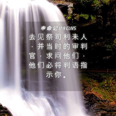 Picture 04 - 申 命 记 17:9 CUVS - 去 见 祭 司 利 未 人 ， 并 当 时 的 - Bible Verse Picture