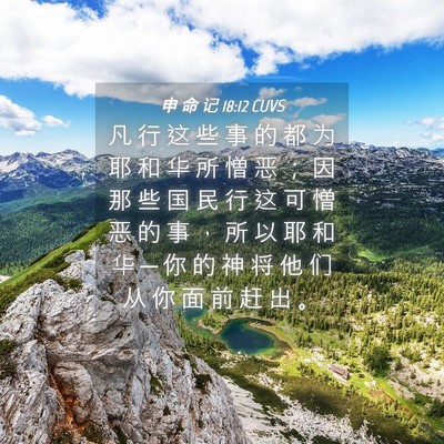 Picture 04 - 申 命 记 18:12 CUVS - 凡 行 这 些 事 的 都 为 耶 和 华 所 - Bible Verse Picture