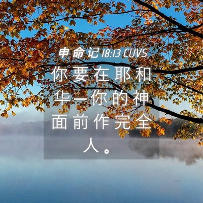 Picture 04 - 申 命 记 18:13 CUVS - 你 要 在 耶 和 华 ─ 你 的 神 面 前 - Bible Verse Picture