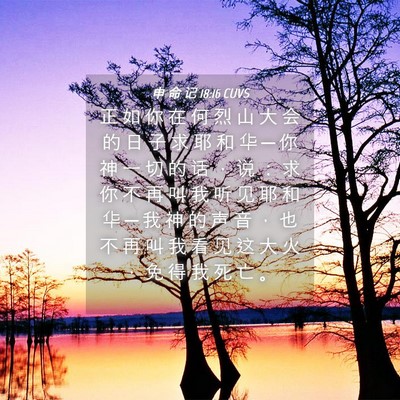 Picture 04 - 申 命 记 18:16 CUVS - 正 如 你 在 何 烈 山 大 会 的 日 子 - Bible Verse Picture