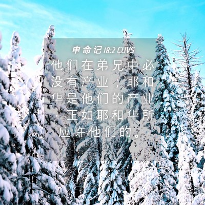 Picture 04 - 申 命 记 18:2 CUVS - 他 们 在 弟 兄 中 必 没 有 产 业 ； - Bible Verse Picture