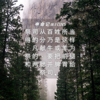 Picture 04 - 申 命 记 18:3 CUVS - 祭 司 从 百 姓 所 当 得 的 分 乃 是 - Bible Verse Picture