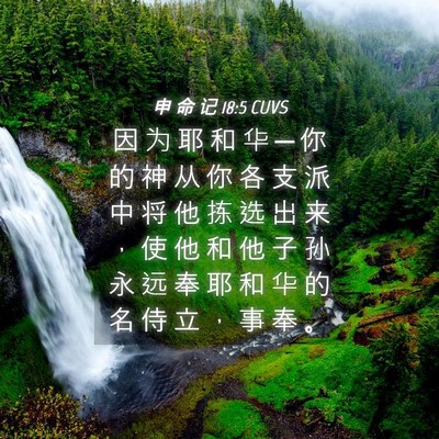 Picture 04 - 申 命 记 18:5 CUVS - 因 为 耶 和 华 ─ 你 的 神 从 你 各 - Bible Verse Picture