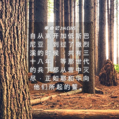 Picture 04 - 申 命 记 2:14 CUVS - 自 从 离 开 加 低 斯 巴 尼 亚 ， 到 - Bible Verse Picture
