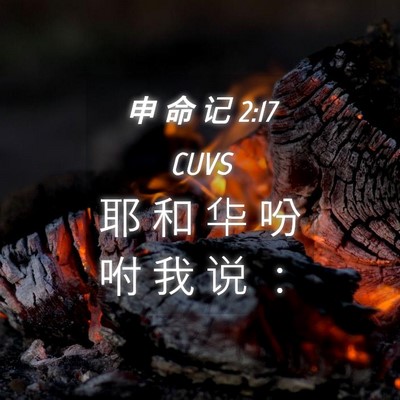 Picture 04 - 申 命 记 2:17 CUVS - 耶 和 华 吩 咐 我 说 - Bible Verse Picture