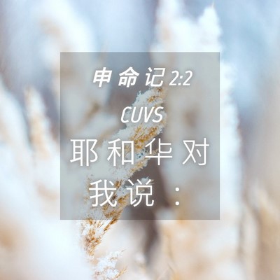 Picture 04 - 申 命 记 2:2 CUVS - 耶 和 华 对 我 说 - Bible Verse Picture