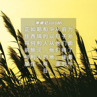 Picture 04 - 申 命 记 2:22 CUVS - 正 如 耶 和 华 从 前 为 住 西 珥 的 - Bible Verse Picture