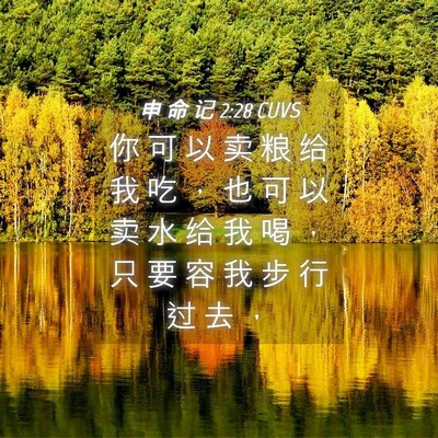 Picture 04 - 申 命 记 2:28 CUVS - 你 可 以 卖 粮 给 我 吃 ， 也 可 以 - Bible Verse Picture
