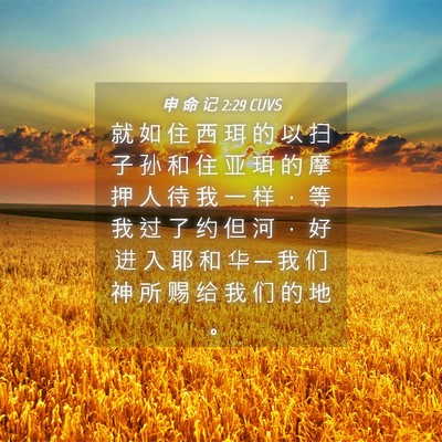 Picture 04 - 申 命 记 2:29 CUVS - 就 如 住 西 珥 的 以 扫 子 孙 和 住 - Bible Verse Picture