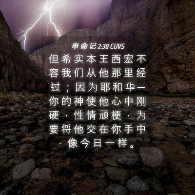 Picture 04 - 申 命 记 2:30 CUVS - 但 希 实 本 王 西 宏 不 容 我 们 从 - Bible Verse Picture