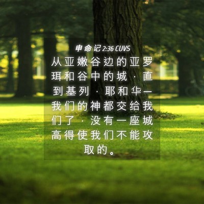 Picture 04 - 申 命 记 2:36 CUVS - 从 亚 嫩 谷 边 的 亚 罗 珥 和 谷 中 - Bible Verse Picture