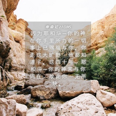Picture 04 - 申 命 记 2:7 CUVS - 因 为 耶 和 华 ─ 你 的 神 在 你 手 - Bible Verse Picture