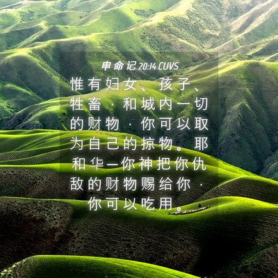 Picture 04 - 申 命 记 20:14 CUVS - 惟 有 妇 女 、 孩 子 、 牲 畜 ， 和 - Bible Verse Picture