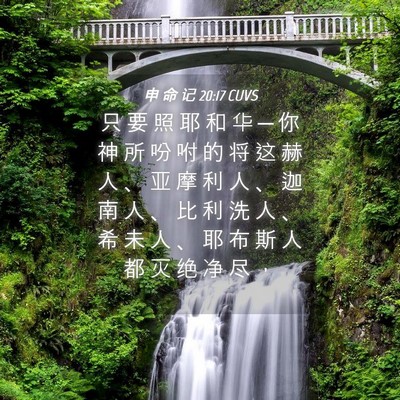 Picture 04 - 申 命 记 20:17 CUVS - 只 要 照 耶 和 华 ─ 你 神 所 吩 咐 - Bible Verse Picture