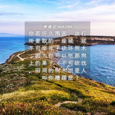 Picture 04 - 申 命 记 20:19 CUVS - 你 若 许 久 围 困 、 攻 打 所 要 取 - Bible Verse Picture