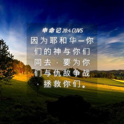 Picture 04 - 申 命 记 20:4 CUVS - 因 为 耶 和 华 ─ 你 们 的 神 与 你 - Bible Verse Picture