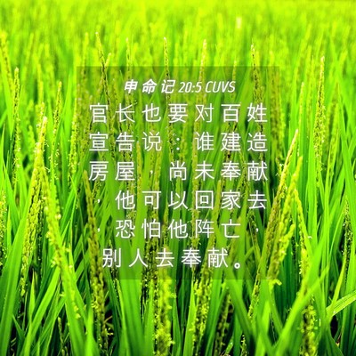 Picture 04 - 申 命 记 20:5 CUVS - 官 长 也 要 对 百 姓 宣 告 说 ： 谁 - Bible Verse Picture