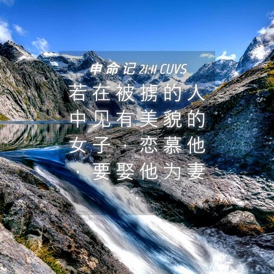 Picture 04 - 申 命 记 21:11 CUVS - 若 在 被 掳 的 人 中 见 有 美 貌 的 - Bible Verse Picture