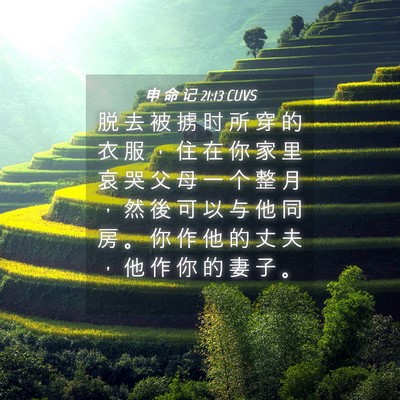 Picture 04 - 申 命 记 21:13 CUVS - 脱 去 被 掳 时 所 穿 的 衣 服 ， 住 - Bible Verse Picture