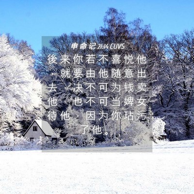 Picture 04 - 申 命 记 21:14 CUVS - 後 来 你 若 不 喜 悦 他 ， 就 要 由 - Bible Verse Picture