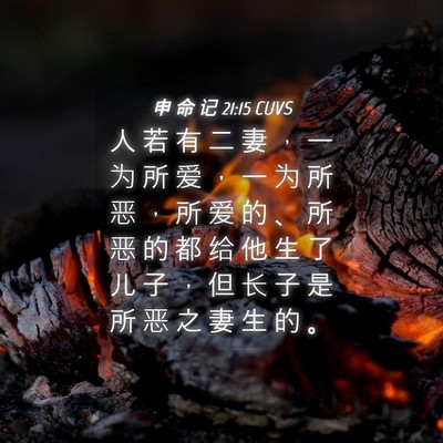 Picture 04 - 申 命 记 21:15 CUVS - 人 若 有 二 妻 ， 一 为 所 爱 ， 一 - Bible Verse Picture