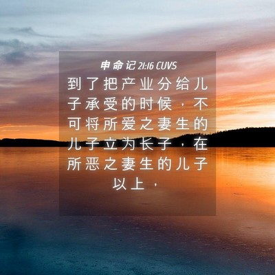 Picture 04 - 申 命 记 21:16 CUVS - 到 了 把 产 业 分 给 儿 子 承 受 的 - Bible Verse Picture