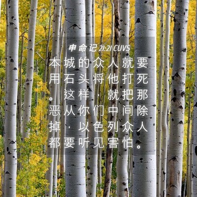 Picture 04 - 申 命 记 21:21 CUVS - 本 城 的 众 人 就 要 用 石 头 将 他 - Bible Verse Picture