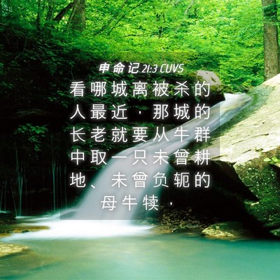 Picture 04 - 申 命 记 21:3 CUVS - 看 哪 城 离 被 杀 的 人 最 近 ， 那 - Bible Verse Picture