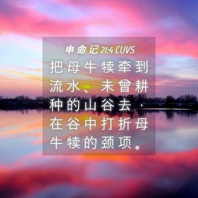 Picture 04 - 申 命 记 21:4 CUVS - 把 母 牛 犊 牵 到 流 水 、 未 曾 耕 - Bible Verse Picture