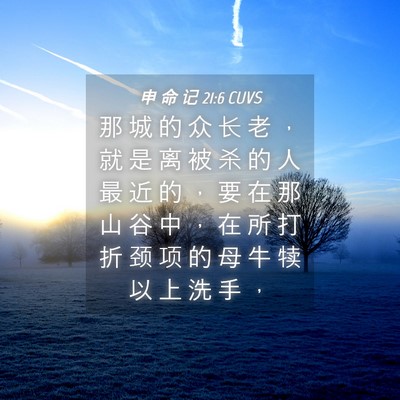 Picture 04 - 申 命 记 21:6 CUVS - 那 城 的 众 长 老 ， 就 是 离 被 杀 - Bible Verse Picture
