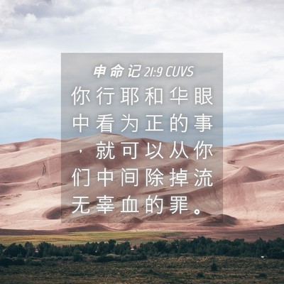 Picture 04 - 申 命 记 21:9 CUVS - 你 行 耶 和 华 眼 中 看 为 正 的 事 - Bible Verse Picture