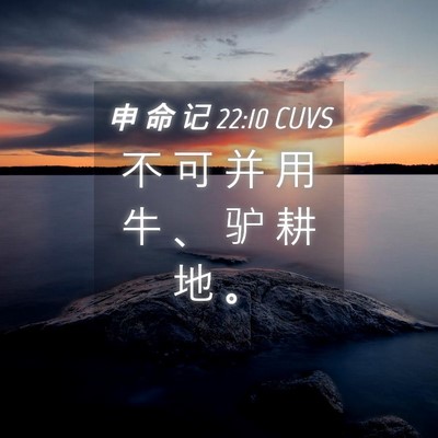 Picture 04 - 申 命 记 22:10 CUVS - 不 可 并 用 牛 、 驴 耕 地 - Bible Verse Picture