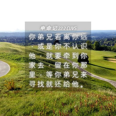Picture 04 - 申 命 记 22:2 CUVS - 你 弟 兄 若 离 你 远 ， 或 是 你 不 - Bible Verse Picture