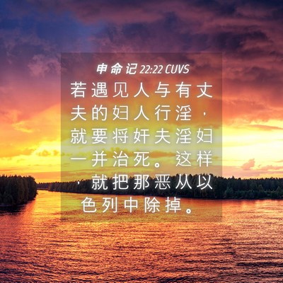 Picture 04 - 申 命 记 22:22 CUVS - 若 遇 见 人 与 有 丈 夫 的 妇 人 行 - Bible Verse Picture