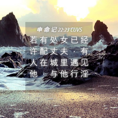 Picture 04 - 申 命 记 22:23 CUVS - 若 有 处 女 已 经 许 配 丈 夫 ， 有 - Bible Verse Picture