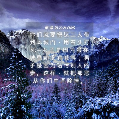Picture 04 - 申 命 记 22:24 CUVS - 你 们 就 要 把 这 二 人 带 到 本 城 - Bible Verse Picture