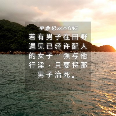 Picture 04 - 申 命 记 22:25 CUVS - 若 有 男 子 在 田 野 遇 见 已 经 许 - Bible Verse Picture