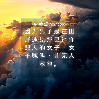Picture 04 - 申 命 记 22:27 CUVS - 因 为 男 子 是 在 田 野 遇 见 那 已 - Bible Verse Picture