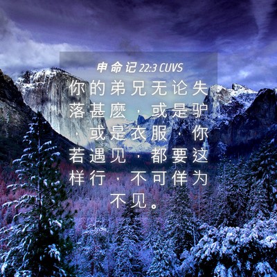 Picture 04 - 申 命 记 22:3 CUVS - 你 的 弟 兄 无 论 失 落 甚 麽 ， 或 - Bible Verse Picture