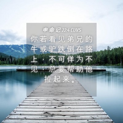 Picture 04 - 申 命 记 22:4 CUVS - 你 若 看 见 弟 兄 的 牛 或 驴 跌 倒 - Bible Verse Picture