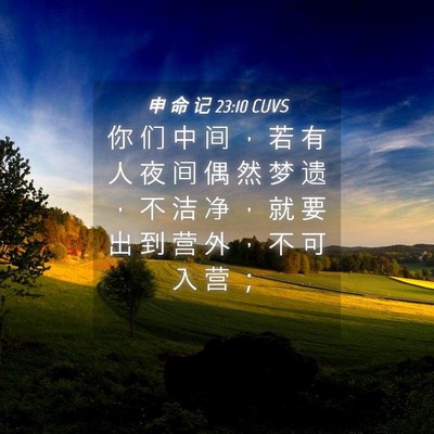 Picture 04 - 申 命 记 23:10 CUVS - 你 们 中 间 ， 若 有 人 夜 间 偶 然 - Bible Verse Picture