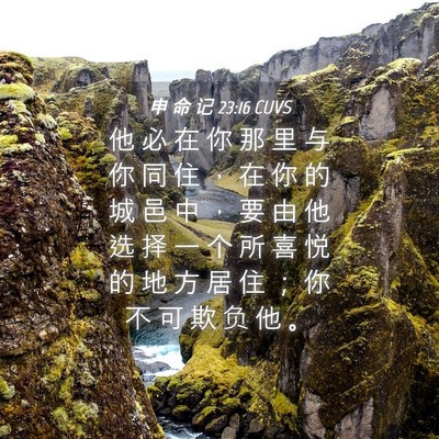 Picture 04 - 申 命 记 23:16 CUVS - 他 必 在 你 那 里 与 你 同 住 ， 在 - Bible Verse Picture